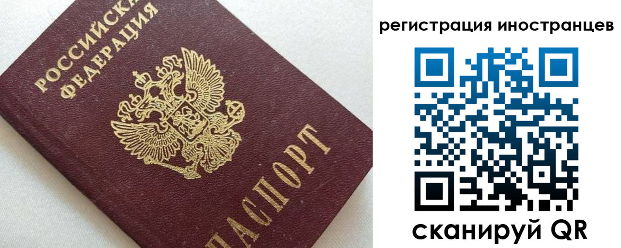прописка в Александровске